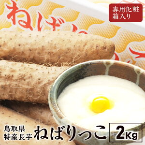  ˂΂ Mtg 2kg khY  R uh 挧  Yi p ip  ikCEj