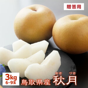 \  y9{oׁz H 3kg 6~9ʓ 挧Y  Â p ip Mtg ikCEj