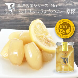 傤 No3 gbg傤 sNXnj[EG  swance  Ɖu̓Abv p Mtg v[g (kCEꏜ)