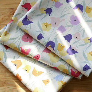 ( l )CEhEtXliILE DE FRANDEjy ԕ n[tl | n ʔ zy pp z