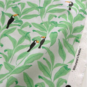 ( Rbg ) ~bhT}[ p_CX Rbg |y pp zy  | nCA z