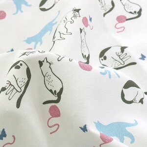 ( Rbg ) ÂVlR Rbg@(Cute Cat cotton)  y pp z