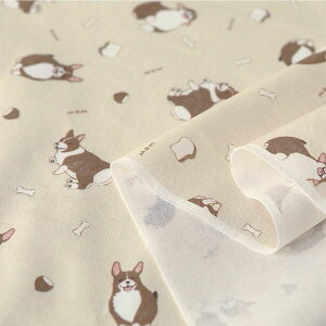 ( Rbg ) EFVER[M[̂Cɓ@Rbg y pp z