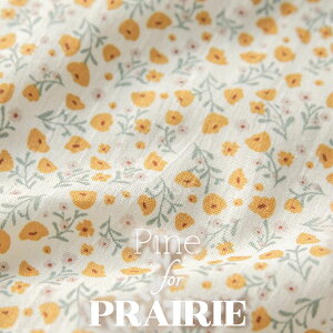 ( �R�b�g�� ) �T���Z�b�g�t�����[�@�R�b�g����Pine for Prairie series�@�y ���� ��| �z �y ���p���p�� �z