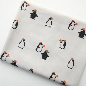 ( Rbg ) yM ȂĂȂ Rbg  y pp z