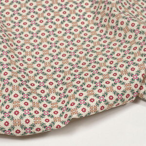 ( Rbg ) xC[ nh ubN Rbg  pp