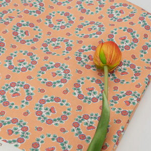 ( Rbg ) [X nh ubN Rbg  pp