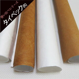 ^CxbN(R)g 4ރZbg( ^CxbN͂ ) g Hard+Soft type ^CxbN(R)  f|(TM)^CxbN(R) y pp z | |pi