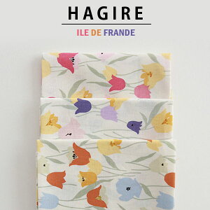 ( [  )( ͂Zbg ) CEhEtXl ͂ 3Zbg y pp z y  ͂  | z