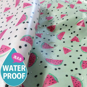 �y �A�E�g���b�g �z( �􂦂郉�~�l�[�g���n ) ���������X�C�J�iWatermelon)�@���~�l�[�g�@�y ���� ��| �t���[�c�� �z�y ���p���p�� �z