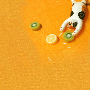 ( Tyvek (R) ) ~JCG[ Soft type ^CxbN(R)  f|(TM)^CxbN(R)Ɉ y pp z | |pi