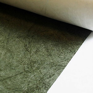 ( Tyvek(R) ) J[L Hard type ^CxbN(R)  f|(TM)^CxbN(R)Ɉ y pp z | |pi