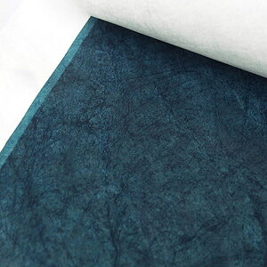 ( Tyvek(R) ) u[ Hard type ^CxbN(R)  f|(TM)^CxbN(R)Ɉ y pp z | |pi