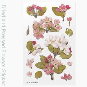 ( hCt[ XebJ[ ) 񂲉 ԃX^CXebJ[ y pp z