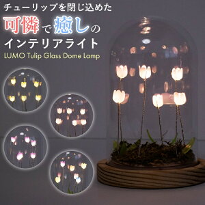 Ɩ v `[bv KXh[ LED Cg IuWF u k  Mtg 킢  v[g IV j 蕨 ̓ LO a CeAG bs