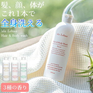 Vv[ {fBEHbV Sg I[C wA{fBEHbV AtA alaLehua VRR VR nC Az ێ A}es[ SgVv[ ibcIC