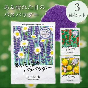 oXpE_[  A} x_[ k o[xi bhJg 3Zbg g؂^Cv Gv\\gz ێz { bNX v[g Mtg  j   