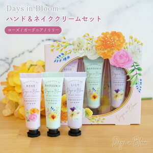 nhN[Zbg v`Mtg ~jTCY nhPA ސE ]   j NX}X zCgf[ A z ΂܂ Ԃ pI bNX 킢  ٓ a 