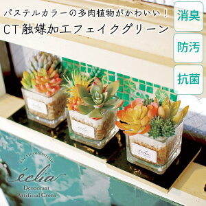 CTG} tFCNO[  A 񂹐A STCY  pXeJ[ 킢  ϗtA L R h GNA sv S A[eBtBVO[ Mtg 