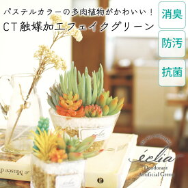 CT触媒 フェイクグリーン 造花 多肉植物 寄せ植え Lサイズ 小さめ パステルカラー かわいい 箱入り 観葉植物 消臭 抗菌 防汚 エクリア お手入れ不要 安全 アーティフィシャルグリーン ギフト プレゼント 無料ラッピング メッセージカード 熨斗