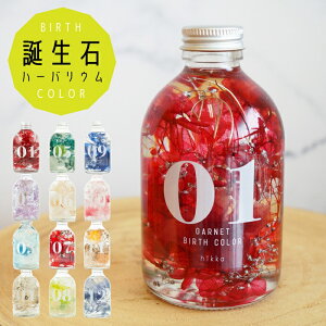 n[oE a o[XJ[ vU[uht[ hCt[ { 12J[ Mtg ސE ]   ̓ NX}X zCgf[ A Ԃ z j C