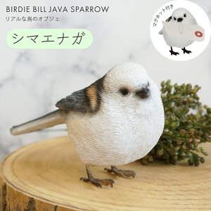 V}GiK IuWF u  Ƃ g CeAG Nbvz_[ 킢 A v[g Mtg j     CeA a ̓ ̓ NX}X hV̓ 