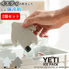 保冷剤 アイスパック 2個セット イエティ ランチ 0℃ ハードタイプ 繰り返し NOOKs ヌークス エコ グレー ギフト プレゼント 無料ラッピング 実用的 夏 メール便
