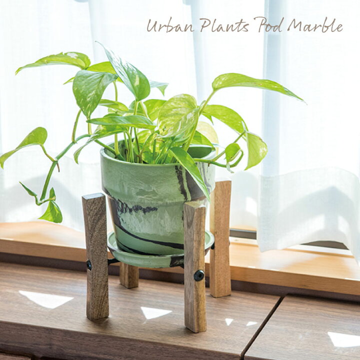 楽天市場 プランター 植木鉢 おしゃれ 室内 マーブル プラスチック 北欧風 鉢植え 穴あり 皿付き 無地 マーブル シンプル 可愛い ガーデニング 寄せ植え サボテン 多肉植物 かわいい インテリア アウトドアと雑貨のグラスホッパー 楽天市場 プランター 植木鉢 おしゃれ 室内 マーブル プラスチック 北欧風 鉢植え 穴あり 皿付き 無地 マーブル シンプル 可愛い ガーデニング 寄せ植え サボテン 多肉植物 かわいい インテリア アウトドアと雑貨のグラスホッパー