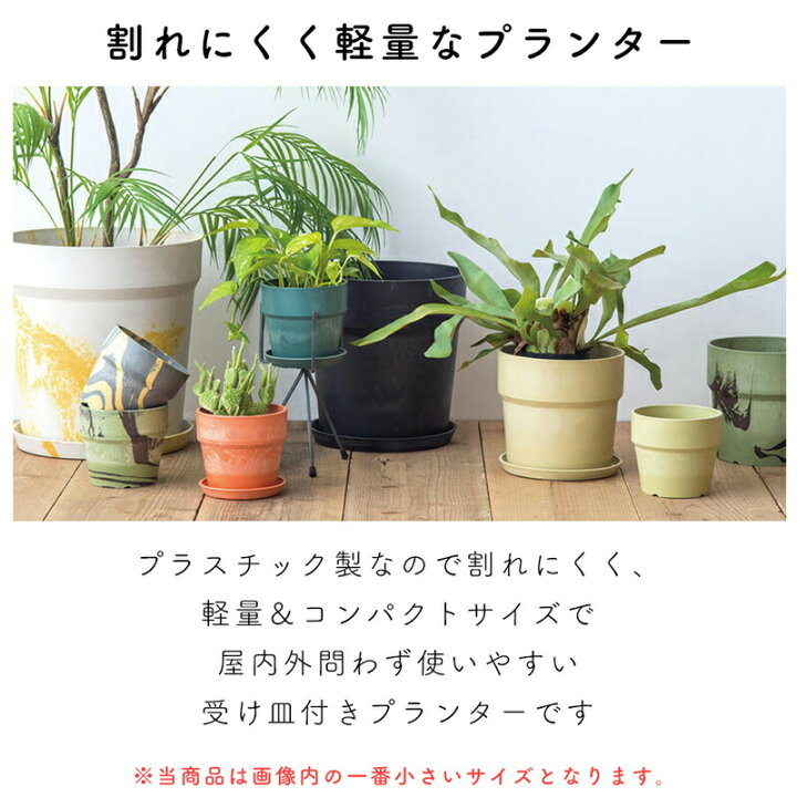 楽天市場 プランター 植木鉢 おしゃれ 室内 マーブル プラスチック 北欧風 鉢植え 穴あり 皿付き 無地 マーブル シンプル 可愛い ガーデニング 寄せ植え サボテン 多肉植物 かわいい インテリア アウトドアと雑貨のグラスホッパー 楽天市場 プランター 植木鉢 おしゃれ 室内 マーブル プラスチック 北欧風 鉢植え 穴あり 皿付き 無地 マーブル シンプル 可愛い ガーデニング 寄せ植え サボテン 多肉植物 かわいい インテリア アウトドアと雑貨のグラスホッパー