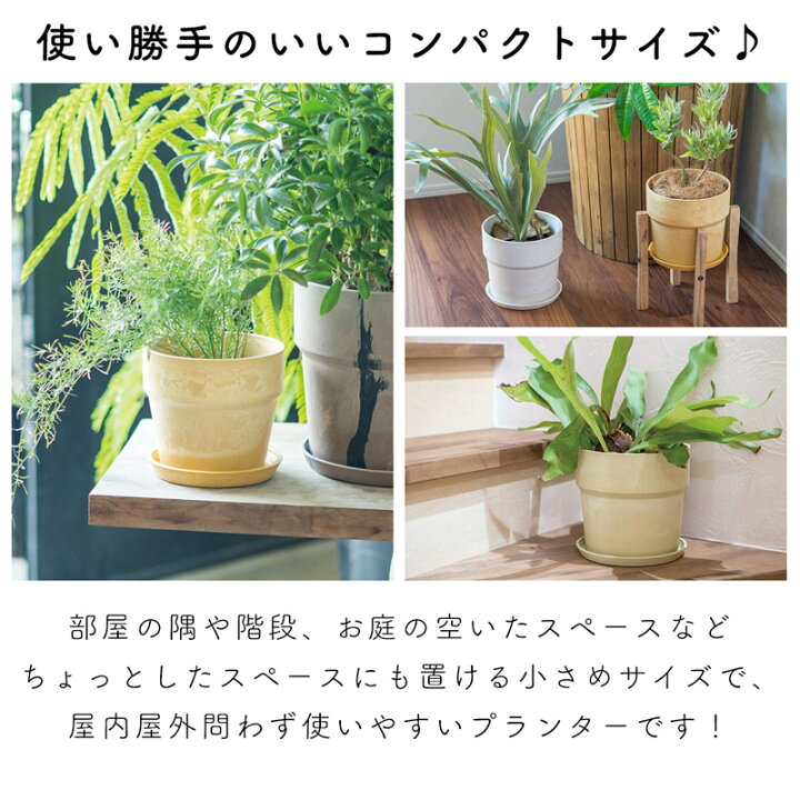 楽天市場 プランター 植木鉢 おしゃれ 室内 マーブル プラスチック 北欧風 鉢植え 穴あり 皿付き 無地 マーブル シンプル 可愛い ガーデニング 寄せ植え サボテン 多肉植物 かわいい インテリア アウトドアと雑貨のグラスホッパー