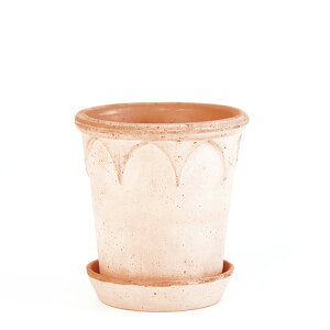 Bergs Potter Aؔ Elizabeth i` 14cm 󂯎Mt fĂ ꌊ o[OX|b^[ GUxX k  v^[  t[|bg ϗtA  ی^ 킢 K[fjO