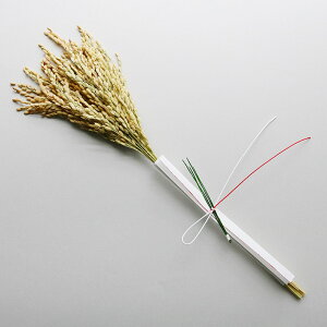 m  ݂̂茋 INAKEN {  _  {    ߓ VN   