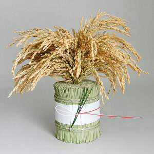 m  L̈ INAKEN {  _  {    ߓ VN   