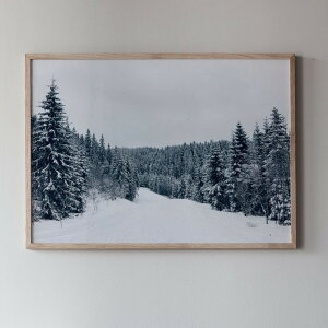 Coco Lapine Design |X^[ Winter Wonderland 70x50cm k  CeA CeAG mN RRp RRpfUC A[g A[g|X^[ 50 70  iF G G Ǌ| _ 