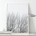 Coco Lapine Design　SNOWY TREE アートプリントポスター 50x70cm　ベルギー／ドイツ ランキングお取り寄せ