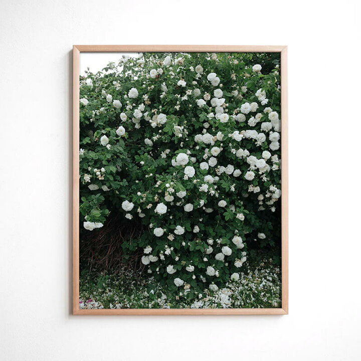 楽天市場】【サイズが増えました】スウェーデン Fine Little Day WHITE 