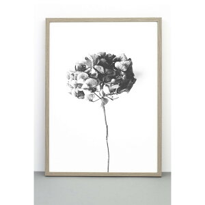 yzONE MUST DASH by nest |X^[ HONEY HONEY 30x40cm k  CeA CeAG mN }Xg_bV A[g A[g|X^[ 30 40   z AWTC G G 