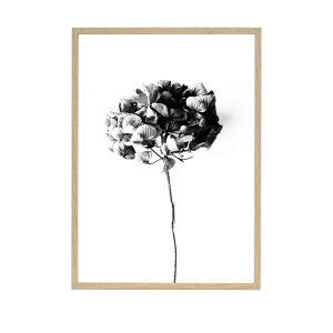 yzONE MUST DASH by nest |X^[ HONEY HONEY 50x70cm k  CeA CeAG mN }Xg_bV A[g A[g|X^[ 50 70   z AWTC G G 
