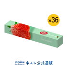 キットカット ショコラトリー ストロベリー 1本×36【ネスレ公式通販・送料無料】【KITKAT チョコレート | ネスレ チョコ ギフト スイーツ 個包装 プレゼント お返し プチギフト おしゃれ お菓子 】