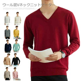 【送料無料】無地 シンプル カジュアル ビジネス 洗える セーター トップス メンズ ニットセーター Vネック