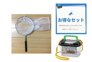かんたん伸び縮み♪ファンキーズむし網またはさかな網と飼育タイプ虫かごHi-Qのセット