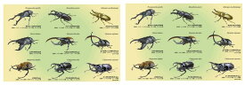 【メール便 送料無料 】昆虫レジャーシート（60x90cm）2枚組！！