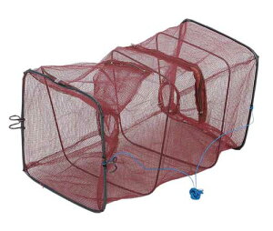 yzUKj⋛̕ߊlɁANEWǂ25i5Pʁj