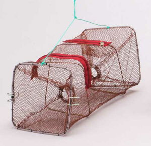 UKj⋛̕ߊlɁIIǂ@18@RpNg