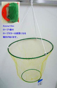 yzƂ50cm[vt