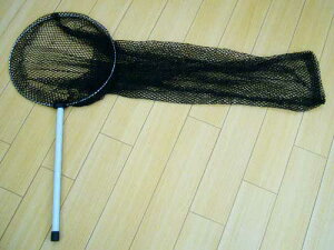 ȂԁiA~jȂƂ EiMƂ AiSEiM߂