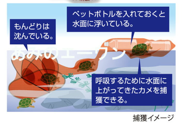 楽天市場 カメの捕獲に かめもんどり ステンレス あみのエーワン楽天市場店