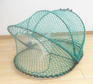 yꌧ΍izuԖ2cmŎԃGr傫ȋɂg܂IGr ԃGrA ǂAOߊlAJߊl