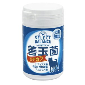 ZNgoX Pʋۂ̃`J pijKii _ۃS[hjyTvgzyt[hz