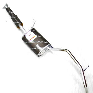 nC[bgS210C NA G}t(1)pA}t[ l\